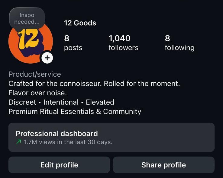 12 Goods Instagram profile: 8 posts, 1,040 followers, 1.7M views in the last 30 days